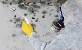 How To Get Rid Of Mold The Home Depot