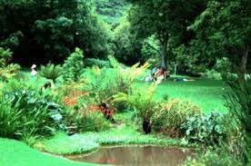 walter sisulu national botanical gardens