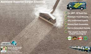 rug cleaning steam n dry carpet