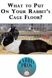 you put on the bottom of a rabbit cage