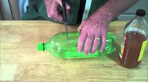 5 easy homemade fly traps using items
