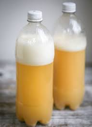two bottles of homemade ginger beer with foamy tops
