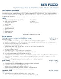 VP Business Development Sample Resume Executive Resume Writing Susan  Ireland Resumes Aaaaeroincus Splendid Free Resume Templates Sample and Example Resume