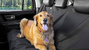 5 Best Car Seat Covers For Dogs