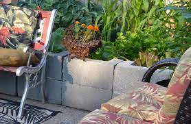 Cinder Blocks Ok For Vegetable Gardens