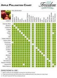 Apple Pollination Chart Potted Fruit Trees Apple Tree Apple