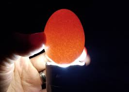 The Complete Beginners Guide To Egg Candling