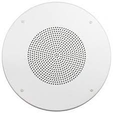 Speaker Grills Our In Ceiling