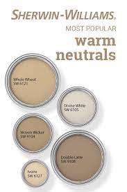 popular warm neutral paint colors