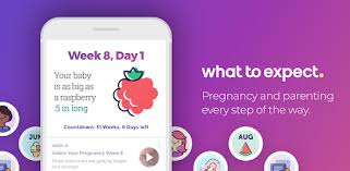 44 Always Up To Date Pregnancy Calendar Day By Day Development