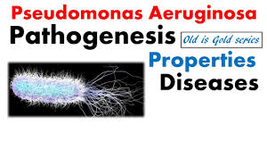 pseudomonas aeruginosa microbiology