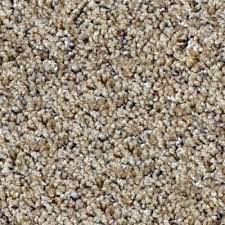 vibrant sandalwood carpet 1 4535