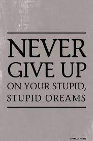 People are just so stupid. Never Give Up On Your Stupid Stupid Dreams Poster Inspirational Quotes Funny Quotes Inspirational Quotes Motivation