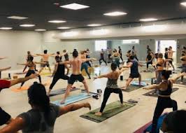 yoga synergy in bridgeport