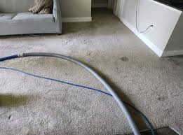carpet cleaning company portland or