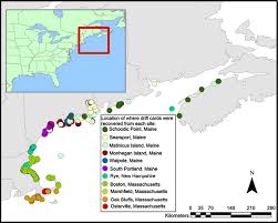 Predicting Regional Spread Of Non Native Species Using