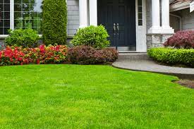Landscaping Cost In Nigeria