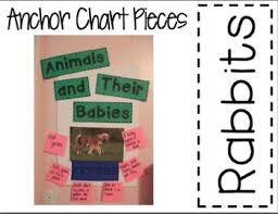 Animals And Their Babies Close Reading And More
