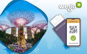 216 ang mo kio avenue 4, singapore 569897: Vaccine Passport Singapore 2021 Everything You Need To Know About Covid Passport In Singapore