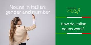 nouns in italian gender and number