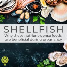 sfish why these nutrient dense