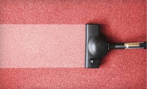 sears carpet upholstery cleaning up