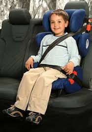 Car Seat Belt Requirement Age In Florida