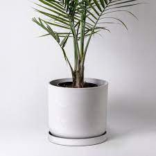 Large Planter Indoor Plant Pot Indoor