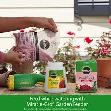 Miracle Gro Water Soluble 1 5 Lb Rose