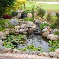 Aquascape Diy Pond Kit Garden World