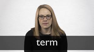 term definition and meaning collins