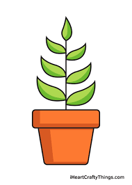 This is such an activity that you can also engage your kids into it to make them learn about some great things. Plant Drawing How To Draw A Plant Step By Step