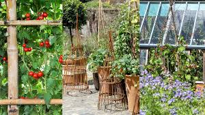 Vegetable Garden Trellis Ideas 18 Ways