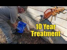 diy home termite treatment long