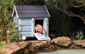I have a little boat to go out and clean it if need be. Luxury Duck Houses Fabulous For Fowl The Field