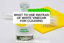 white vinegar for cleaning