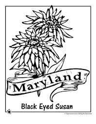 There has been a large increase in coloring books specifically for adults in the last 6 or 7 years. 24 Maryland Theme Ideas Maryland Maryland Flag Flag Coloring Pages