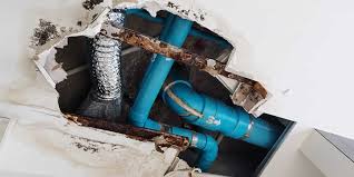 plumbing problems that can lead to mold