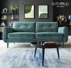 a ing guide for fabric sofas sofology