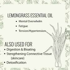 lemongr essential oil 10ml baliba