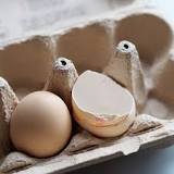 Où jeter les coquilles d'œufs ?