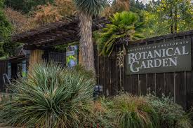 welcome to uc berkeley botanical garden