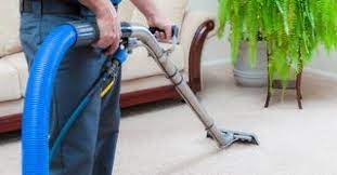 local carpet cleaners in peachtree city