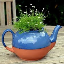teapot planter large glazed weston
