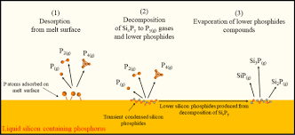 On The Phosphorus Evaporation From