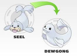 Znalezione Obrazy Dla Zapytania Pokemon Seel Evolution Chart