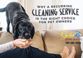 a recurring cleaning service for pet
