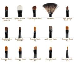 a guide to makeup brushes musely
