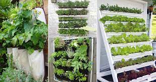 22 diy vertical vegetable garden ideas