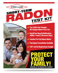 radon gas test kit pro lab